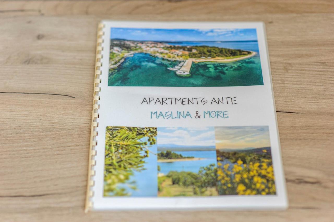 Apartman Maslina 希贝尼克 外观 照片